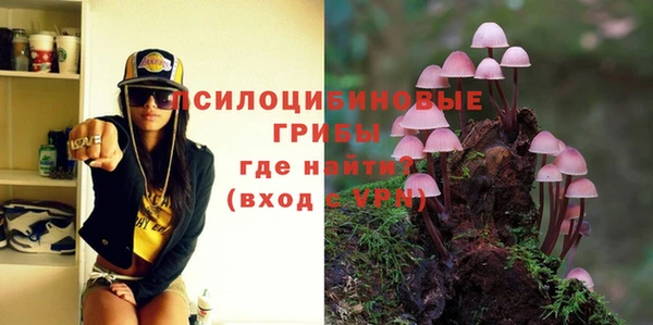 тгк Бердск