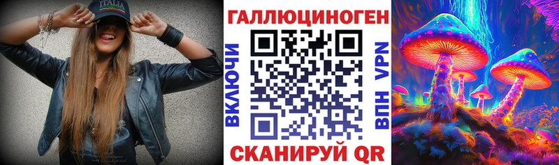 kraken зеркало  Берёзовский  Псилоцибиновые грибы мицелий 